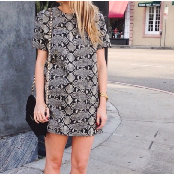 zara python dress